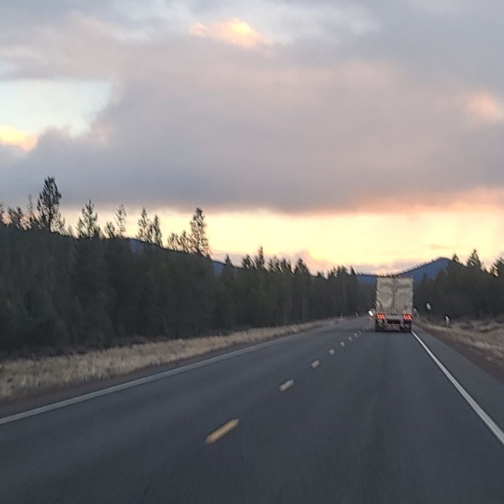 Meet your Posher, Lily